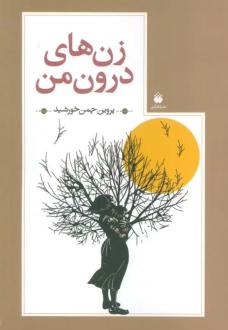دانلود pdf کتاب زن های درون من پروین چمن خورشید
