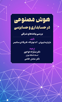 دانلود pdf کتاب هوش مصنوعی در حسابداری و حسابرسی ماریاریتا پیروتی