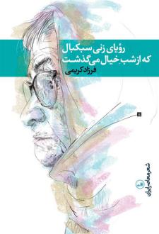 دانلود pdf کتاب رویای زنی سبکبال که از شب خیال می گذشت فرزاد کریمی