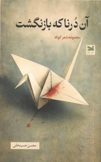 دانلود pdf کتاب آن درنا که بازنگشت محسن حسینخانی