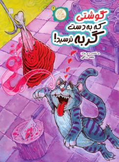 دانلود pdf کتاب گوشتی که به دست گربه نرسید سعید رزاقی