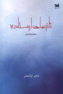 دانلود pdf کتاب ثانیه‌های ایستاده نرگس ایرانمنش