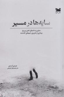 دانلود pdf کتاب سایه‌ها در مسیر عبدی اسدی