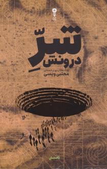 دانلود pdf کتاب شر درونش مجتبی ویسی