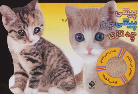 دانلود pdf کتاب پیشی پیشی جان چه نازی مصطفی رحماندوست