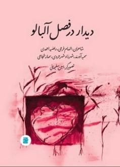 دانلود pdf کتاب دیدار در فصل آلبالو  الهام فرجی