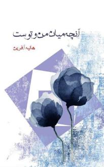 دانلود pdf کتاب آن چه میان من و توست هانیه آفرین