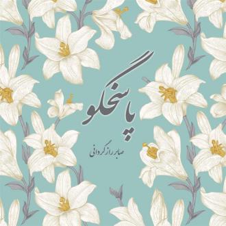 دانلود pdf کتاب پاسخگو صابر رازگردانی