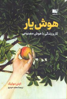 دانلود pdf کتاب هوش یار ایتن مولیک