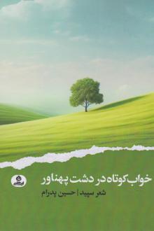 دانلود pdf کتاب خواب کوتاه در دشت پهناور حسین پدرام