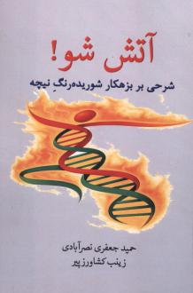 دانلود pdf کتاب آتش شو حمید جعفری نصرآبادی