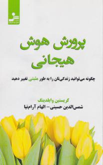 دانلود pdf کتاب پرورش هوش هیجانی کریستین وایلدینگ