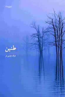 دانلود pdf کتاب طنین غزاله داودی فر