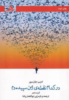 دانلود pdf کتاب در کدام نقطه این سپیده دم ادیب جان سور