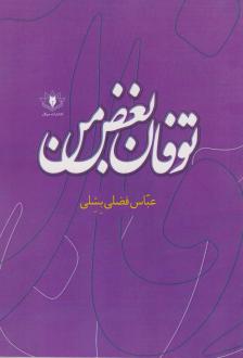 دانلود pdf کتاب توفان بغض من عباس فضلی بشلی