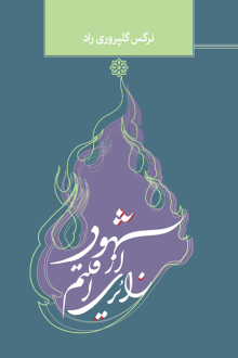 دانلود pdf کتاب زائری از اقلیم شهود نرگس گلپروری راد
