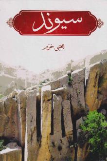 دانلود pdf کتاب سیوند مجتبی خرم سیوندی