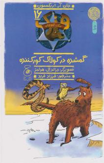 دانلود pdf کتاب گمشده در کولاک کور کننده جان آر اریکسون