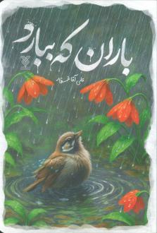 دانلود pdf کتاب باران که ببارد علی آقا غفار