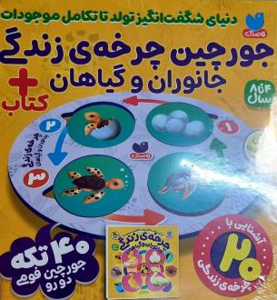 دانلود pdf کتاب جورچین چرخه زندگی جانوران و گیاهان + کتاب طاهره شاه محمدی