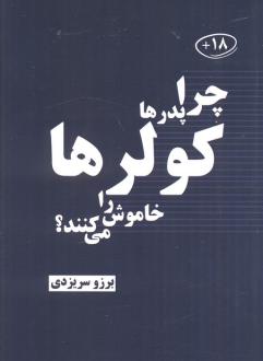 دانلود pdf کتاب چرا پدرها کولرها را خاموش می کنند؟ برزو سریزدی