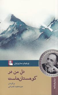 دانلود pdf کتاب دل من در کوهستان‌ هاست ویلیام سارویان
