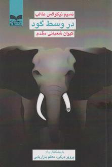 دانلود pdf کتاب در وسط گود نسیم نیکلاس طالب