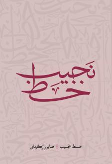 دانلود pdf کتاب خط نجیب صابر رازگردانی