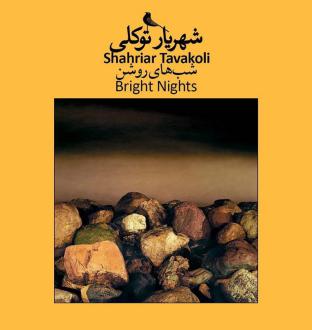 دانلود pdf کتاب شب های روشن شهریار توکلی