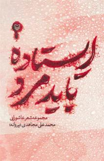 دانلود pdf کتاب ایستاده باید مرد محمدعلی مجاهدی