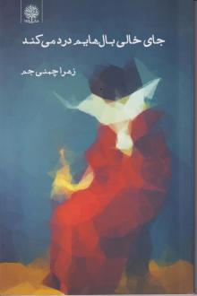 دانلود pdf کتاب جای خالی بال هایم درد می کند زهرا چمنی جم
