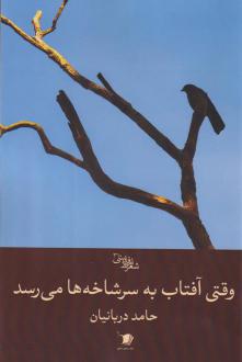 دانلود pdf کتاب وقتی آفتاب به سر شاخه ها می رسد حامد دربانیان