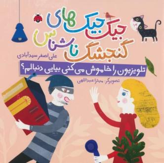 دانلود pdf کتاب جیک جیک های گنجشک ناشناس (تلویزیون را خاموش می کنی بیایی دنبالم؟) علی اصغر سیدآبادی