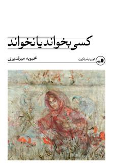 دانلود pdf کتاب کسی بخواند یا نخواند محبوبه میرقدیری
