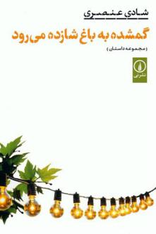 دانلود pdf کتاب گمشده به باغ شازده می رود شادی عنصری