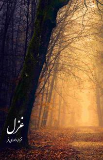 دانلود pdf کتاب غزل غزاله داودی فر