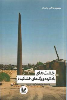 دانلود pdf کتاب خشت‌های بادکرده و رگ‌های خشکیده محبوبه بابایی محمدی