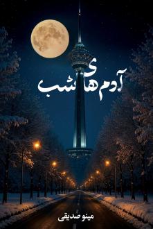 دانلود pdf کتاب آدم‌های شب مینو صدیقی