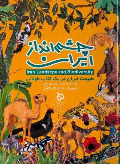 دانلود pdf کتاب چشم انداز ایران محمدناصر مودودی