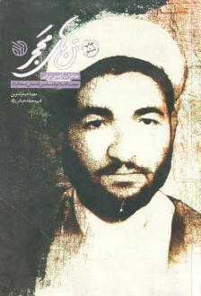 دانلود pdf کتاب تن‌های محجر امیرمحمد عباس نژاد