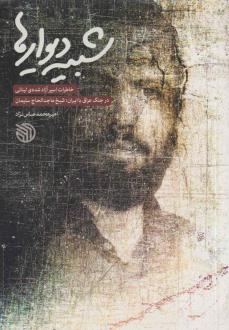 دانلود pdf کتاب شبیه دیوارها امیرمحمد عباس نژاد