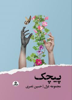 دانلود pdf کتاب پیچک حسین نصری