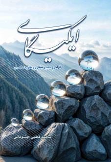 دانلود pdf کتاب ایکیگای محمد قطبی