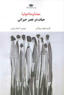 دانلود pdf کتاب معنا و ماخولیا کریستوفر بولاس