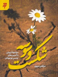 دانلود pdf کتاب شکست وسوسه مرتضی مروی