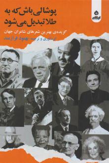 دانلود pdf کتاب پوشالی باش که به طلا تبدیل می شود بهنود فرازمند