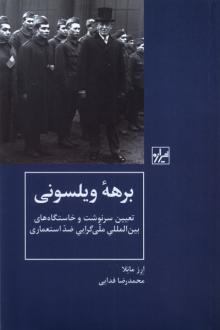 دانلود pdf کتاب برهه ویلسونی ارز مانلا