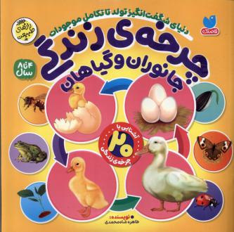 دانلود pdf کتاب چرخه‌ی زندگی طاهره شاه محمدی