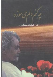 دانلود pdf کتاب چه کنم دلم می‌سوزد ژولیده نیشابوری