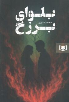 دانلود pdf کتاب بلوای برزخ محمد صابری